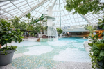 Afbeelding van Zwemmen Center Parcs Park Zandvoort