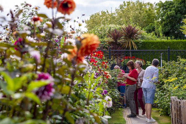 Bewonder samen met vrienden de mooie bloemen in Bloemenpark Appeltern