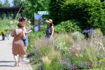 Afbeelding van Bloemenpark Appeltern