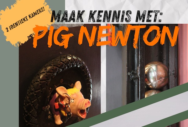 Pig Newton escape room 