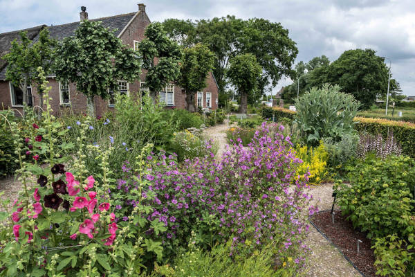 Tuin vol met bloemen