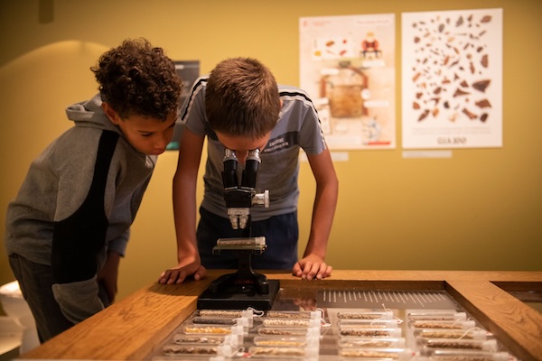 Universiteitsmuseum Groningen in Groningen