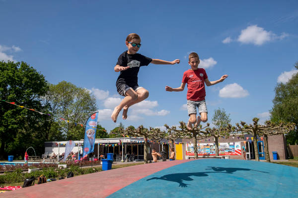 Kinderen springen op het springkussen