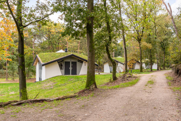 Vakantiehuizen in het bos