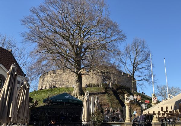 De Burcht van Leiden