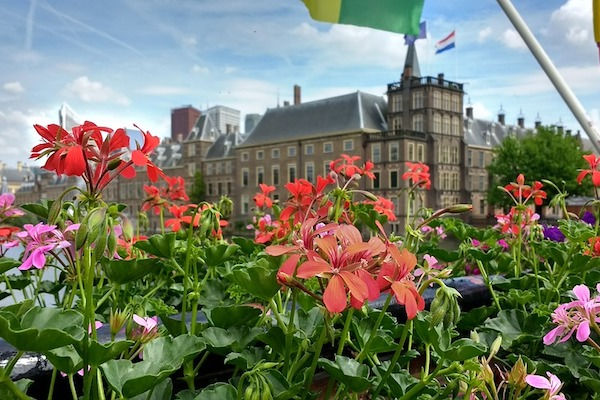 Bezoekers kunnen door de bijzondere ruimtes van de Tweede Kamer en het Binnenhof wandelen