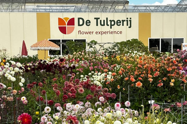 De Tulperij