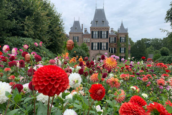 Kasteel met bloemen