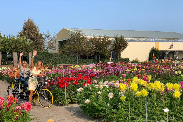 Fietsen langs de bloemenvelden in Lisse in Voorhout