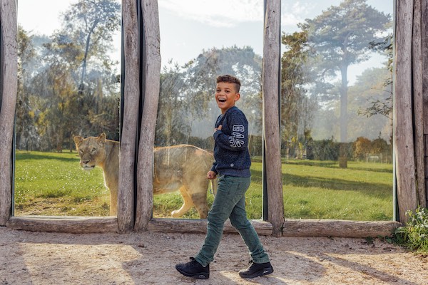 Jongen met tijger