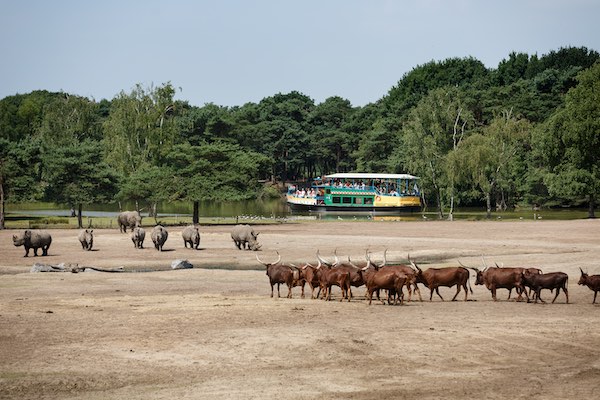 Wandelsafari bij de Beekse Bergen