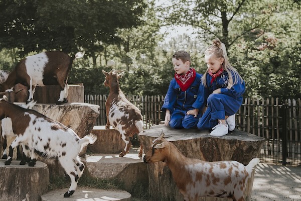 Vakantiepark Dierenbos: Bewonder de lieve geitjes