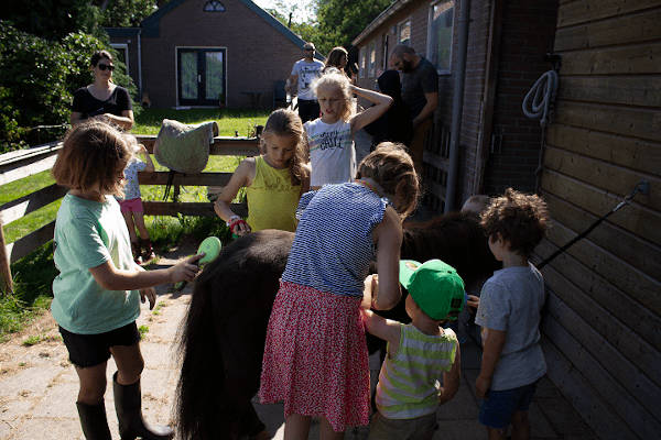 Minicamping Hendriks wijkje: Kinderen verzorgen de pony's