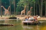 Dierenpark Amersfoort nu wel op heel bijzondere manier te bekijken