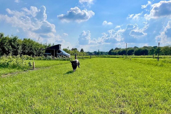 In de 7e hemel vakantiehuisjes: Camperplaats in het weiland