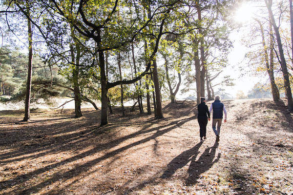 Maak een wandeling door de bossen