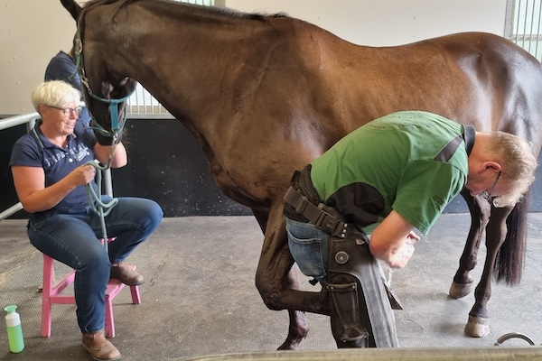 Op Pad in Oene: Kijk hoe de hoeven van een paard worden gekrabt