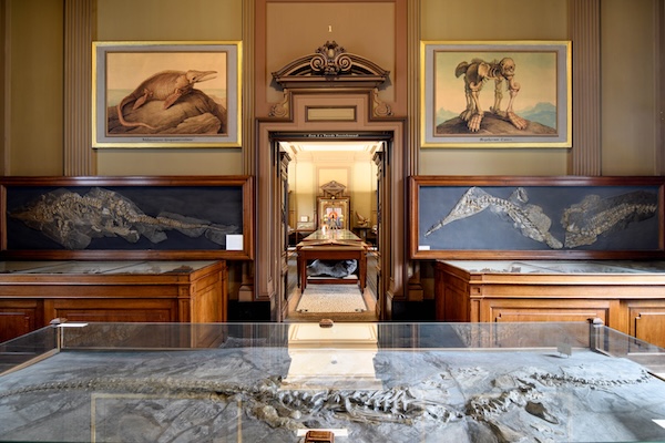 Teylers Museum in Haarlem