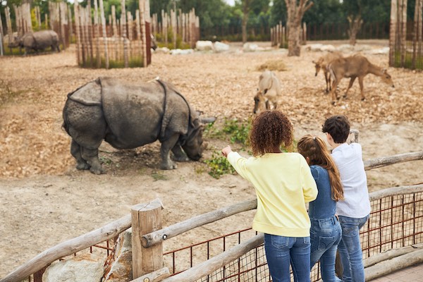 Eindhoven Zoo in Mierlo