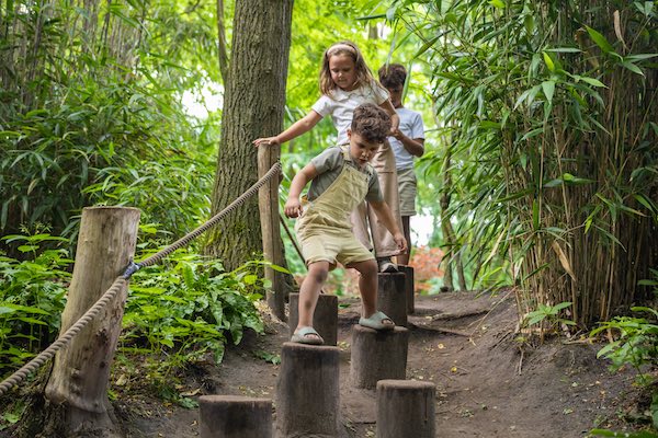 Spelen in de dierentuin