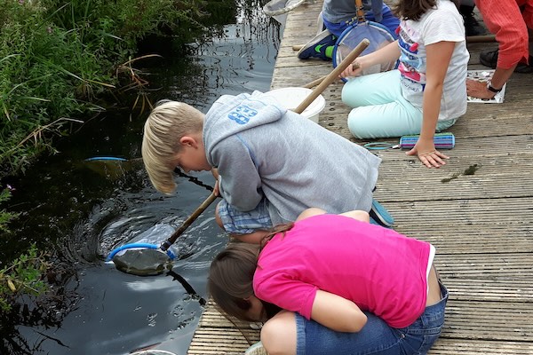 Op zoek naar beestjes in het water