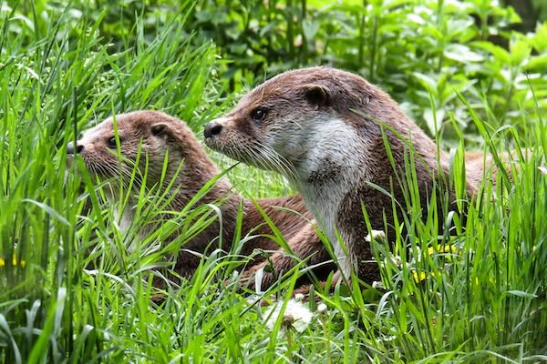 Dagje uit Natuurpark Lelystad