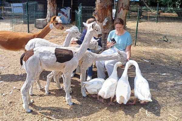 Knuffelboerderij de Goordonkhoeve