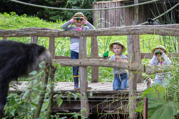 Zoo Parc Overloon kids kijken met verrekijker naar de dieren