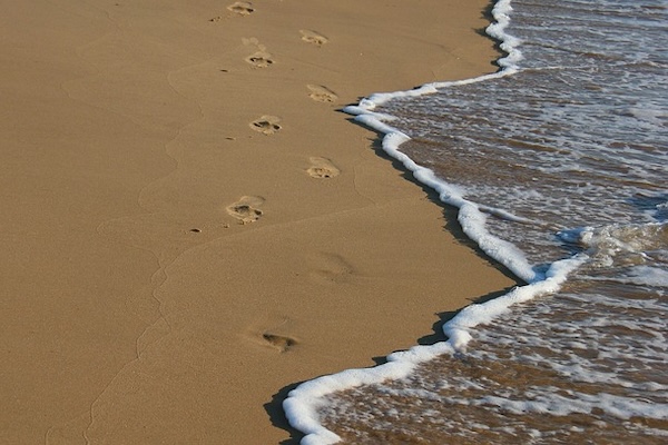 6 Stranden in Nederland die je gezien moet hebben